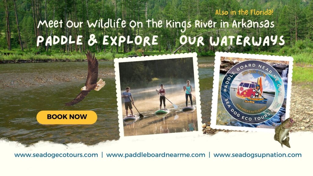 book now graphic for kings river paddle boarding