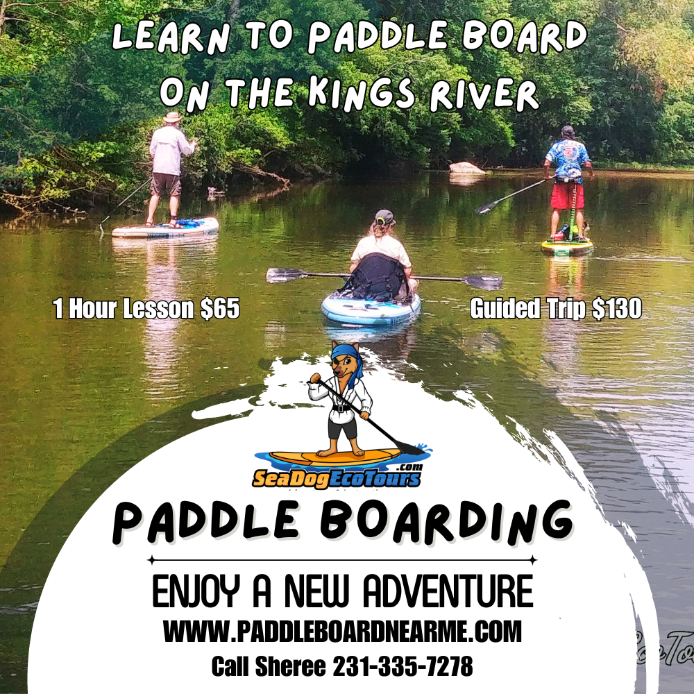 paddle boarders on Kings River