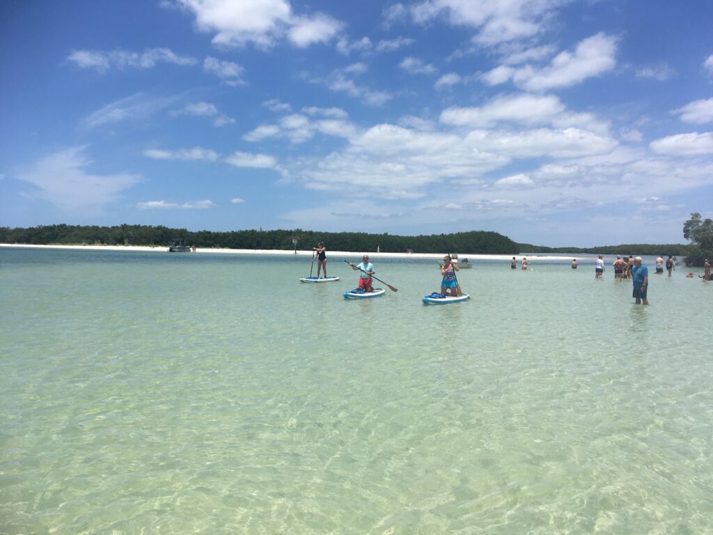 Paddle boarding at dog beach - image