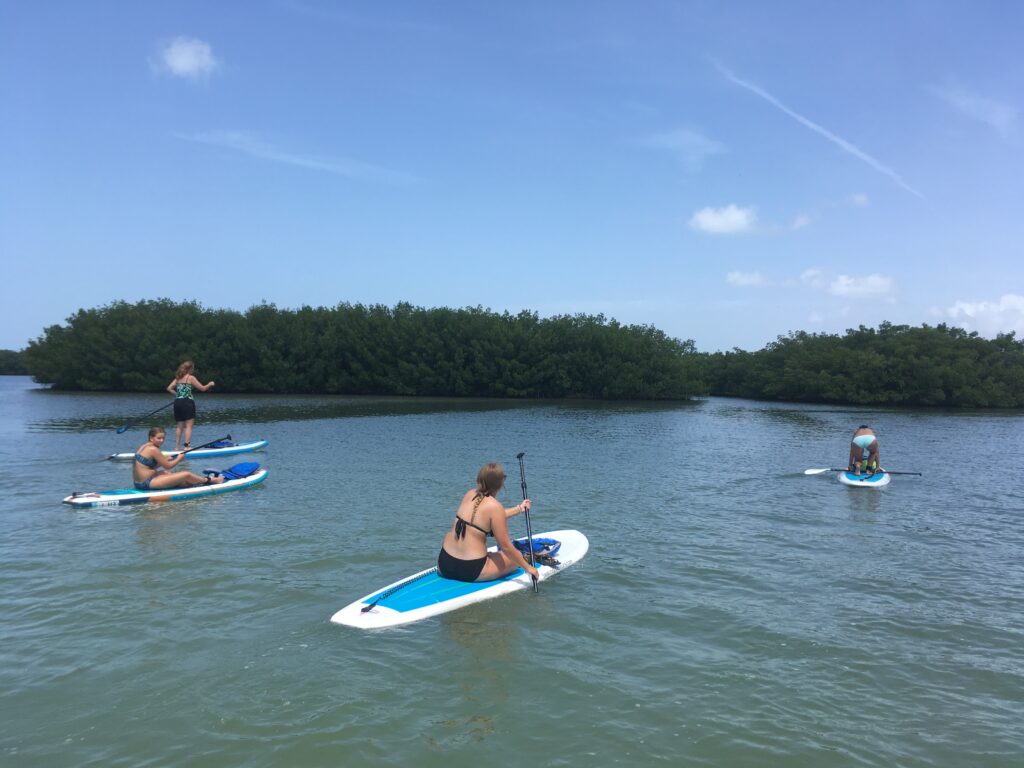 Paddling by the mangrove islands
