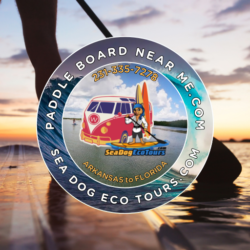 paddle board near me and sea dog eco tours logo
