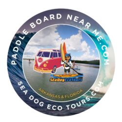 paddle board near me logo with sea dog logo